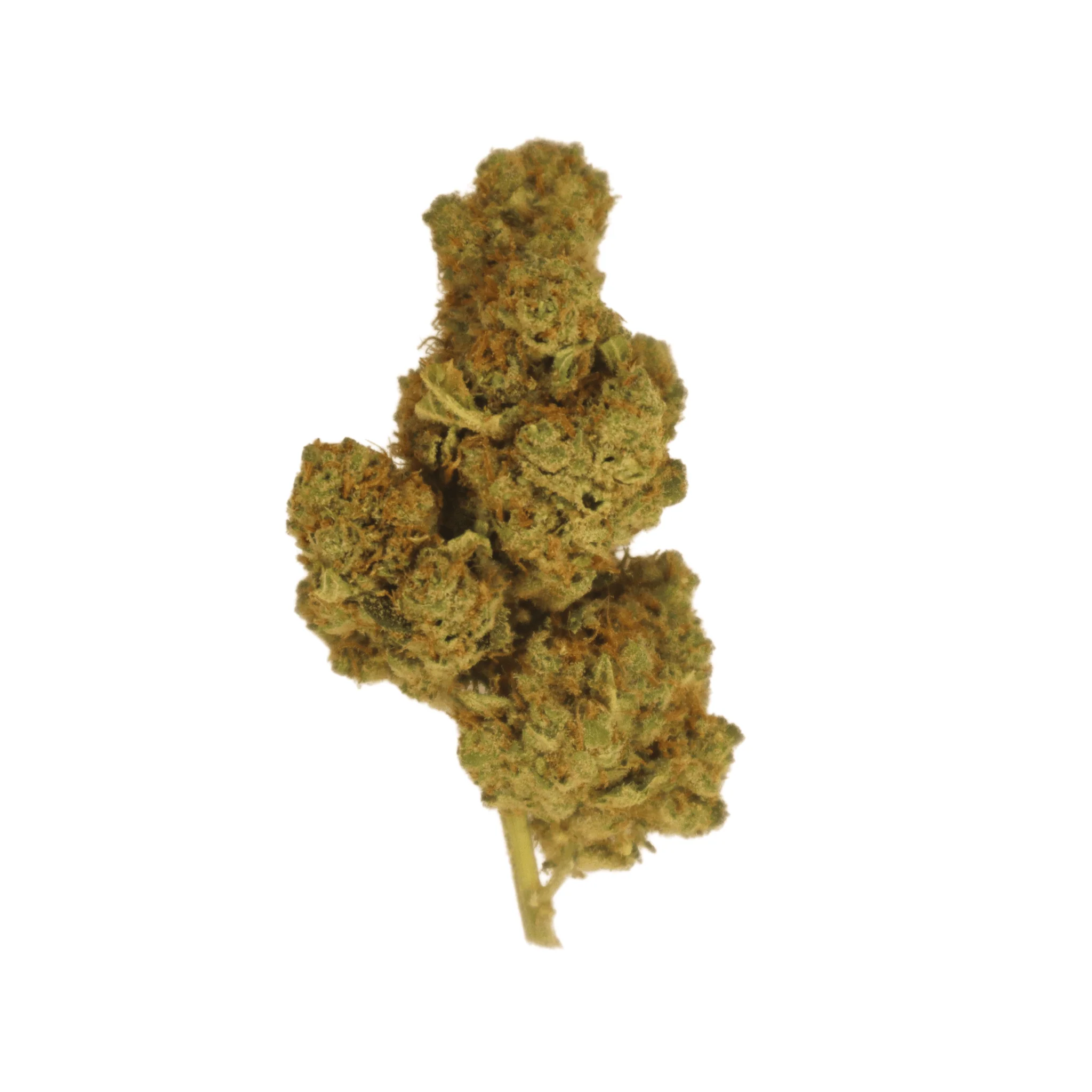 Buy CBD Flower Small Buds | Best CBD Popcorn Nuggies | Low Prices | Fast UK Delivery